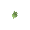 Cactus seed