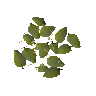 Magic leaves