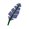 Blue feather