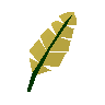 Yellow feather