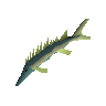 Leaping sturgeon
