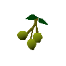 Jangerberries