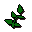 Equa leaves