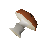 Mort myre fungus