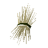 Grain