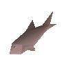 Trout