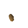 Calquat tree seed