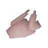 Raw chicken