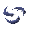 Anchovies