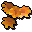 Marigolds