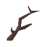 Ent branch