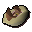 Squid beak