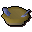 Fish pie