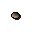 Teak seed