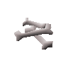 Babydragon bones