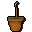 Teak sapling