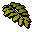 Curry leaf