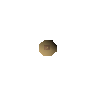 Teak seed