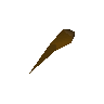 Proboscis