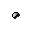 White lily seed
