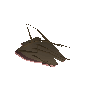 Yak-hide