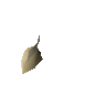Woad seed