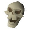 Skull of vet