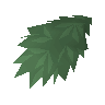 Hemp