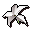 White lily