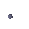 Dwellberry seed