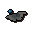 Calcified moth