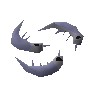 Raw anchovies