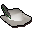 White cavalier