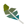 Stripy feather