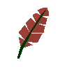 Red feather