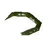 Raw slimy eel