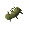 Potato cactus