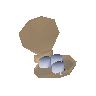 Oyster pearls
