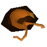 Fat snail meat
