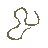 Sinew