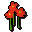 Nasturtiums