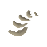 Hydra tail