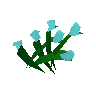 Flax