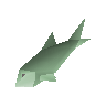 Raw pike