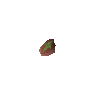 Redwood tree seed