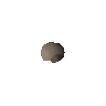 Camphor seed