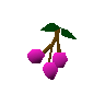 Cadava berries