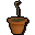 Pineapple sapling