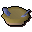 Dragonstone_dragon_bolts_5.png