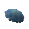 Blue blubber jellyfish